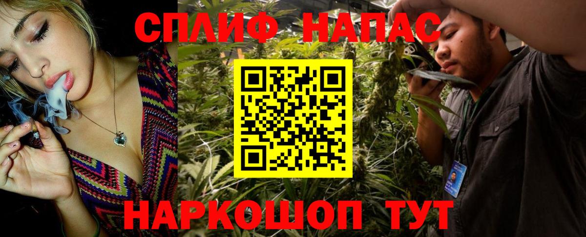 Бошки Шишки семена Дзержинский